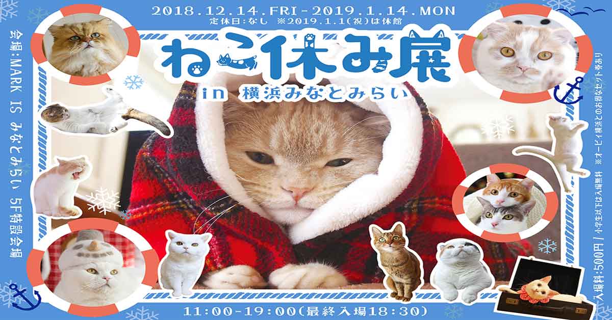 ชวนทาสแมวเที่ยวงานนิทรรศการ Neko Yasumi ที่มินาโตะมิไรแห่งเมืองโยโกฮาม่า